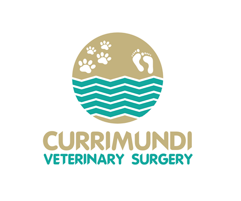 Currimundi Veterinary Surgery - Currimundi , Australia