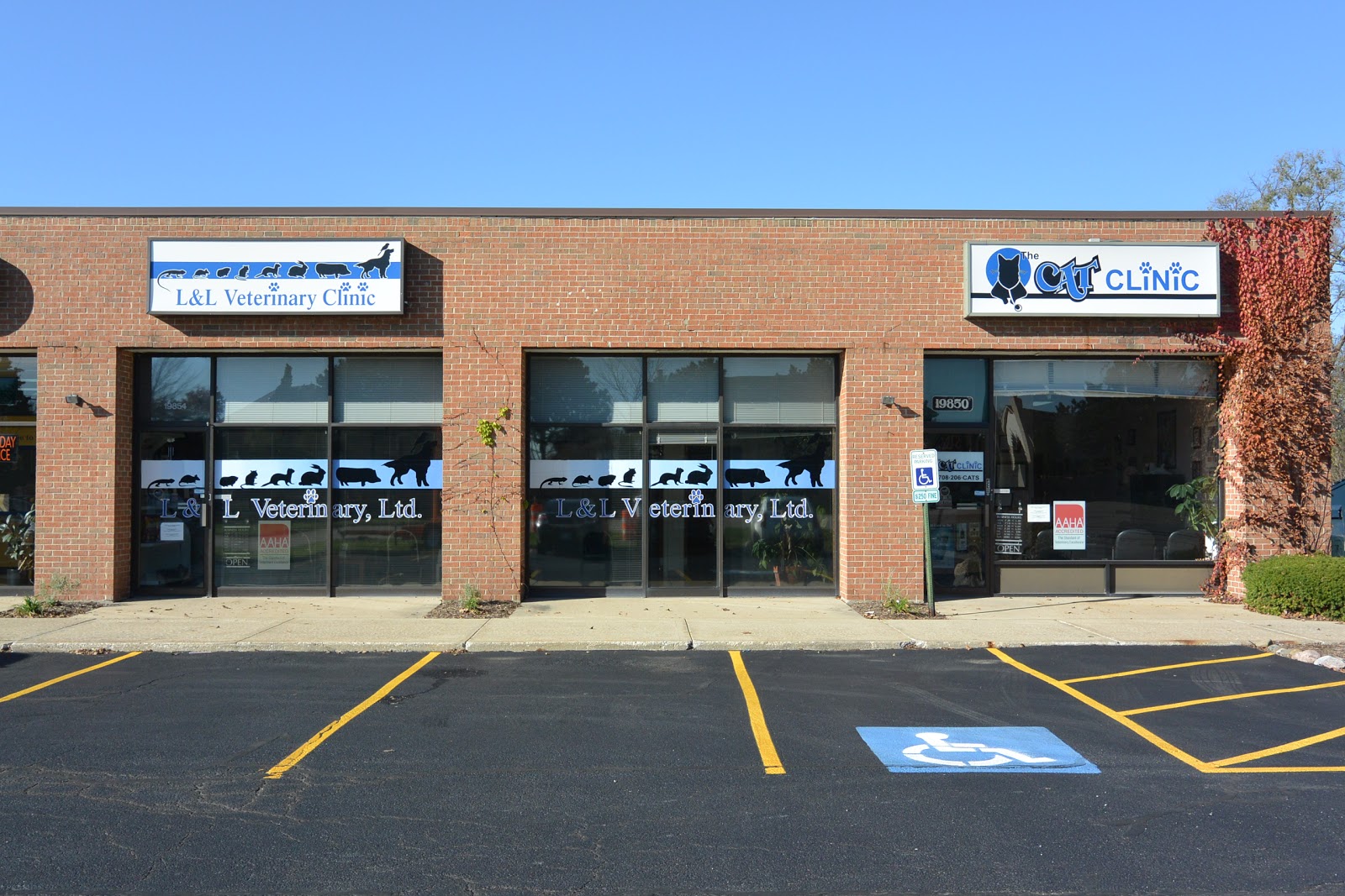 The Cat Clinic - Flossmoor , United States