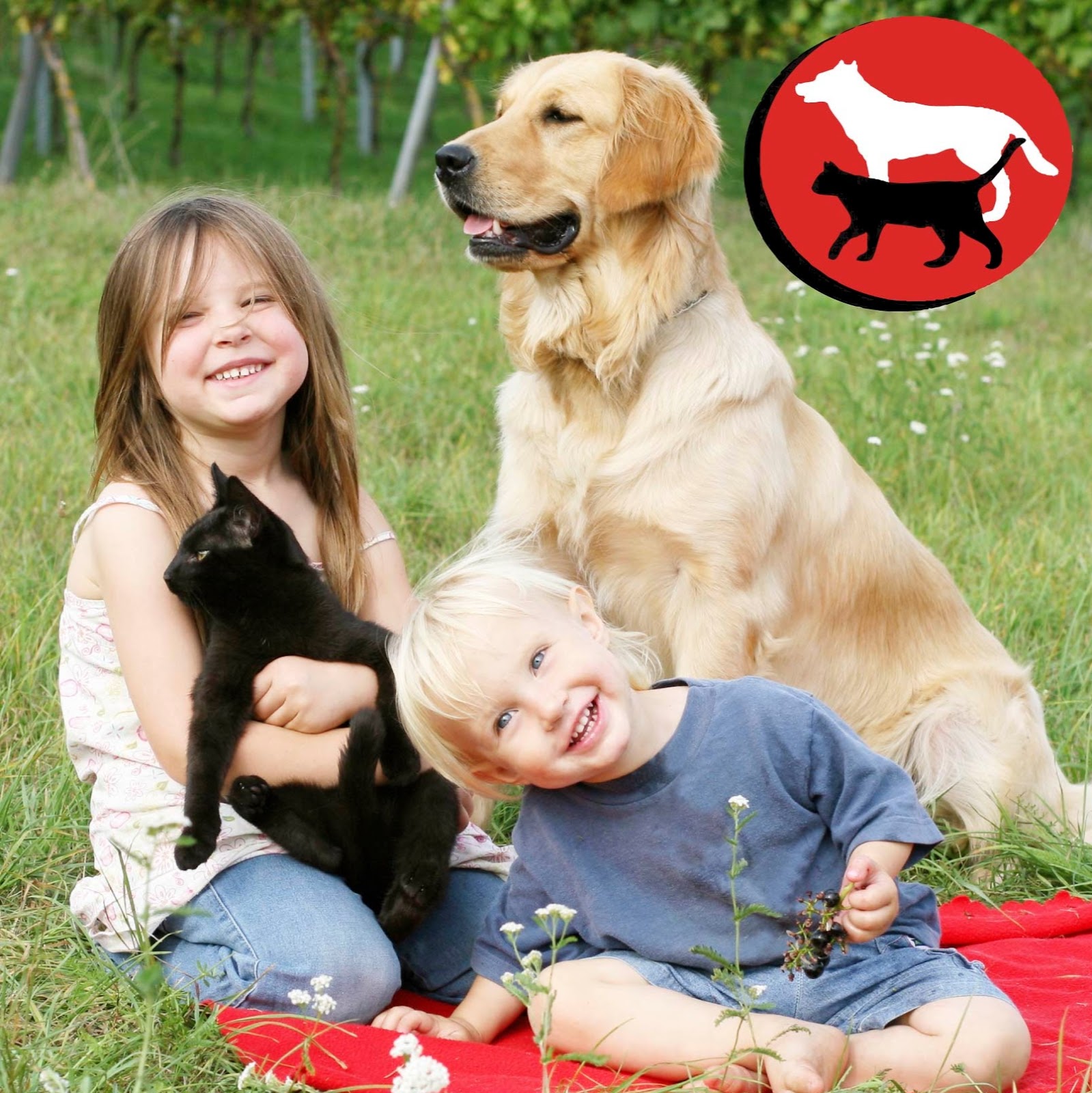 Telford Veterinary Hospital - Souderton , United States