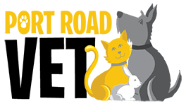 Port Road Vet - West Croydon , Australia