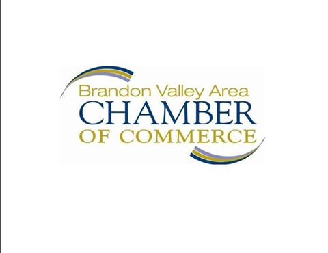 Brandon Valley Veterinary Clinic - Brandon , United States