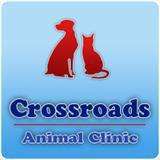 Crossroads Animal Clinic - Woodway , United States