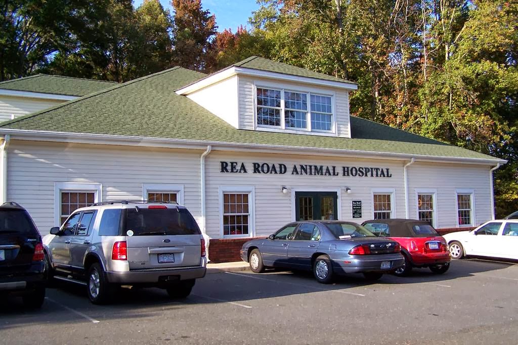 Rea Road Animal Hospital - Charlotte , United States