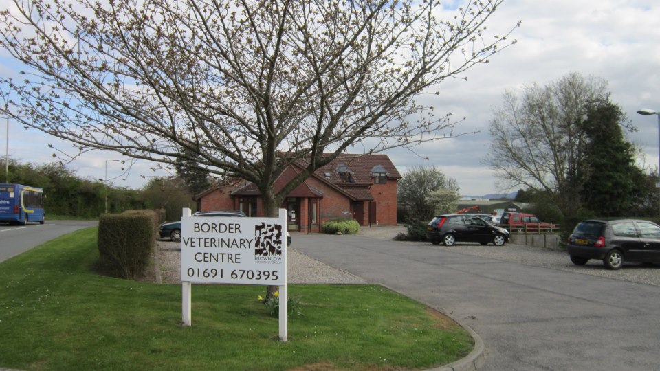 Border Veterinary Centre - Oswestry , United Kingdom
