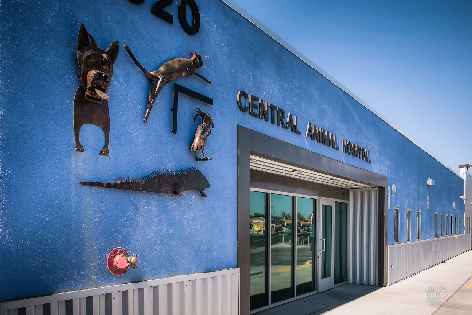 Central Animal Hospital - Tucson , United States
