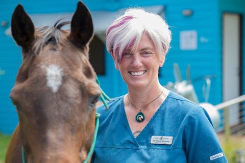 Vitality Vetcare - Bangalow , Australia