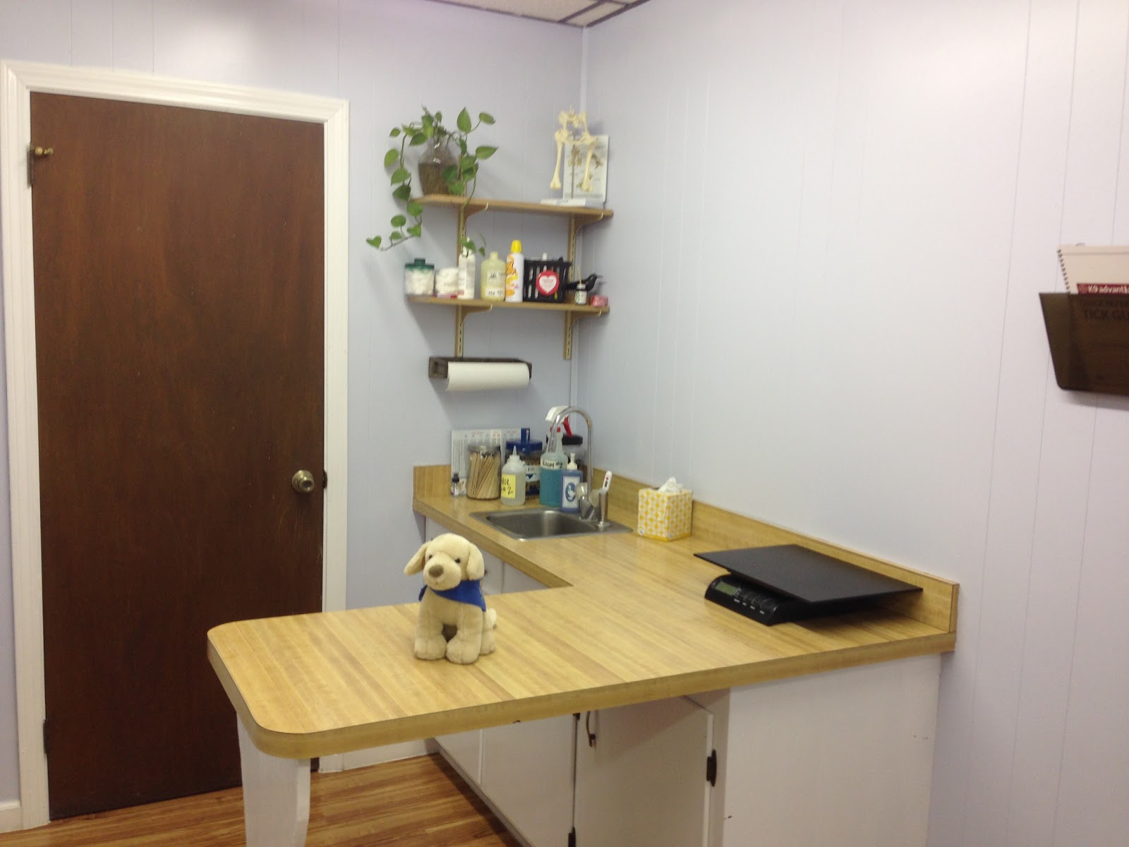 Pungo Veterinary Clinic - Virginia Beach , United States