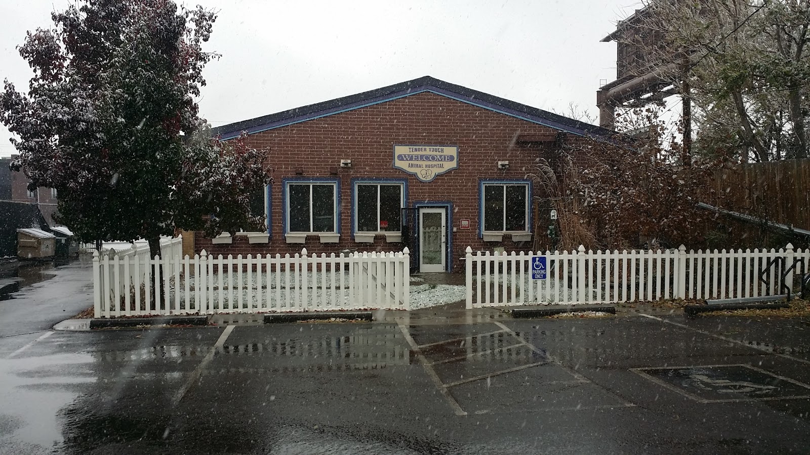 Tender Touch Animal Hospital - Denver , United States