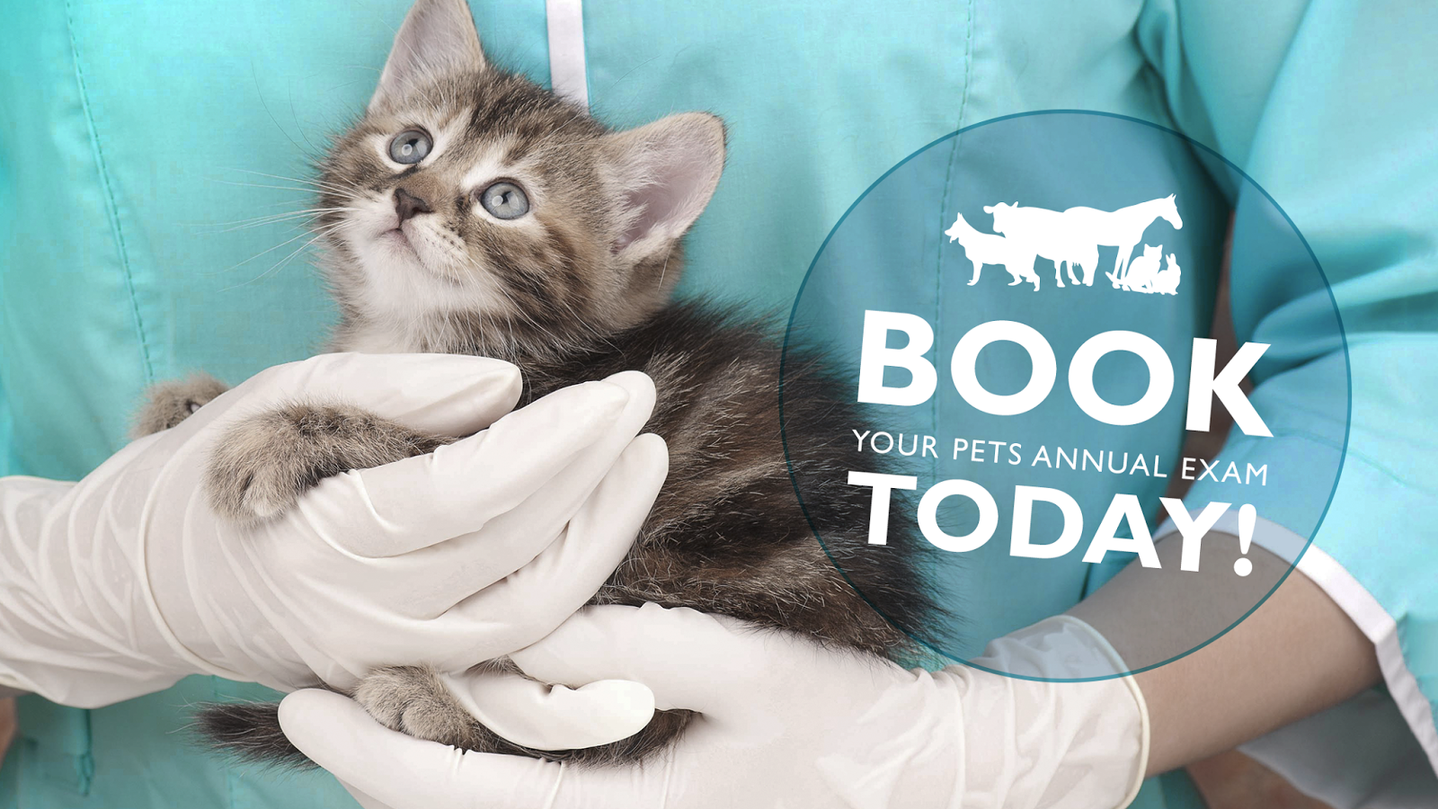 Moose Jaw Animal Clinic - Moose Jaw , Canada