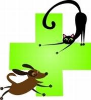Yandina Veterinary Clinic - Yandina , Australia