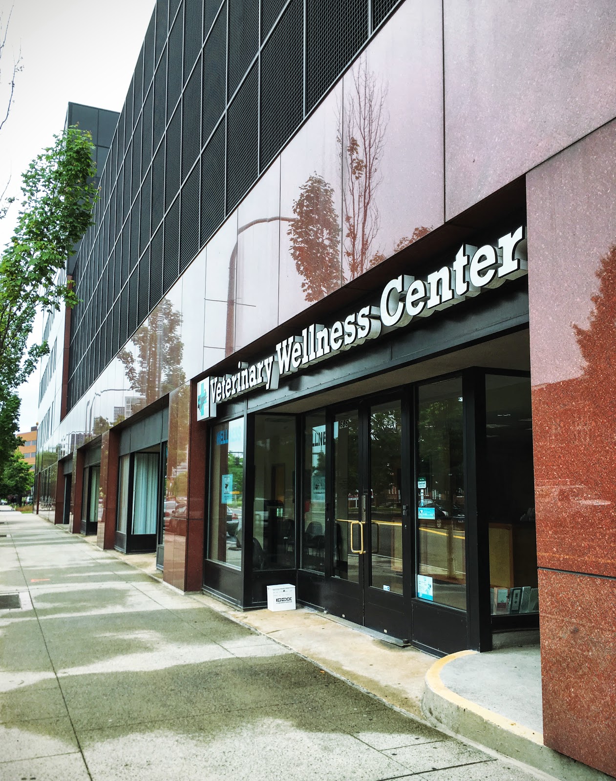 Veterinary Wellness Center Of New Haven - New Haven , United States