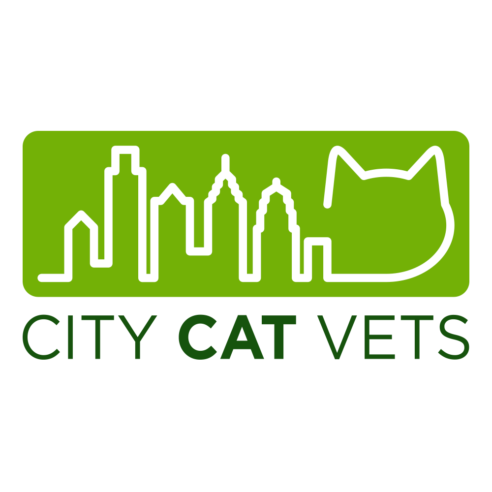 City Cat Vets - Philadelphia , United States