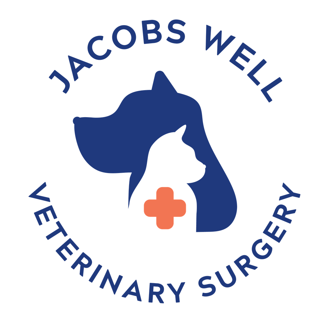 Jacobs Well Veterinary Surgery - Jacobs Well , Australia
