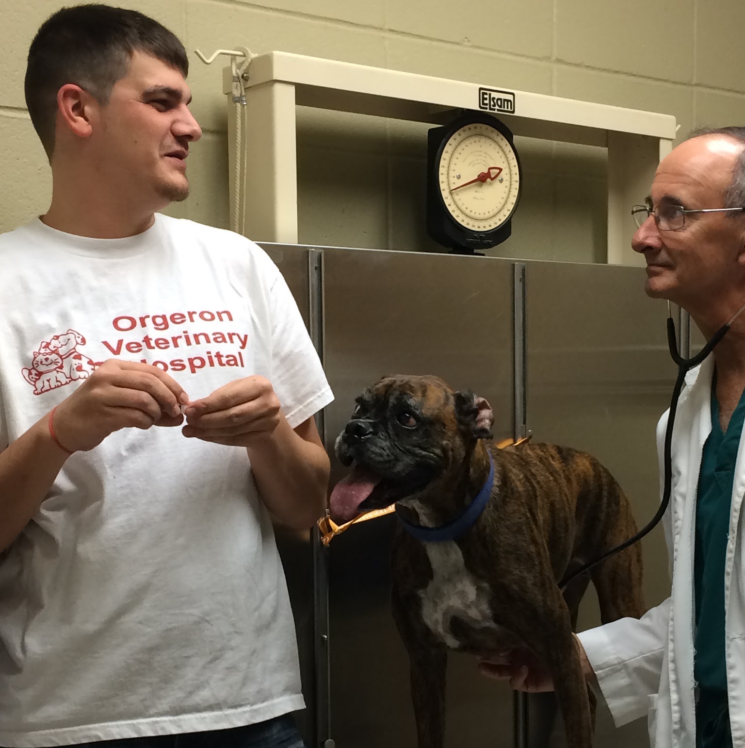 Orgeron Veterinary Hospital - Lafayette , United States
