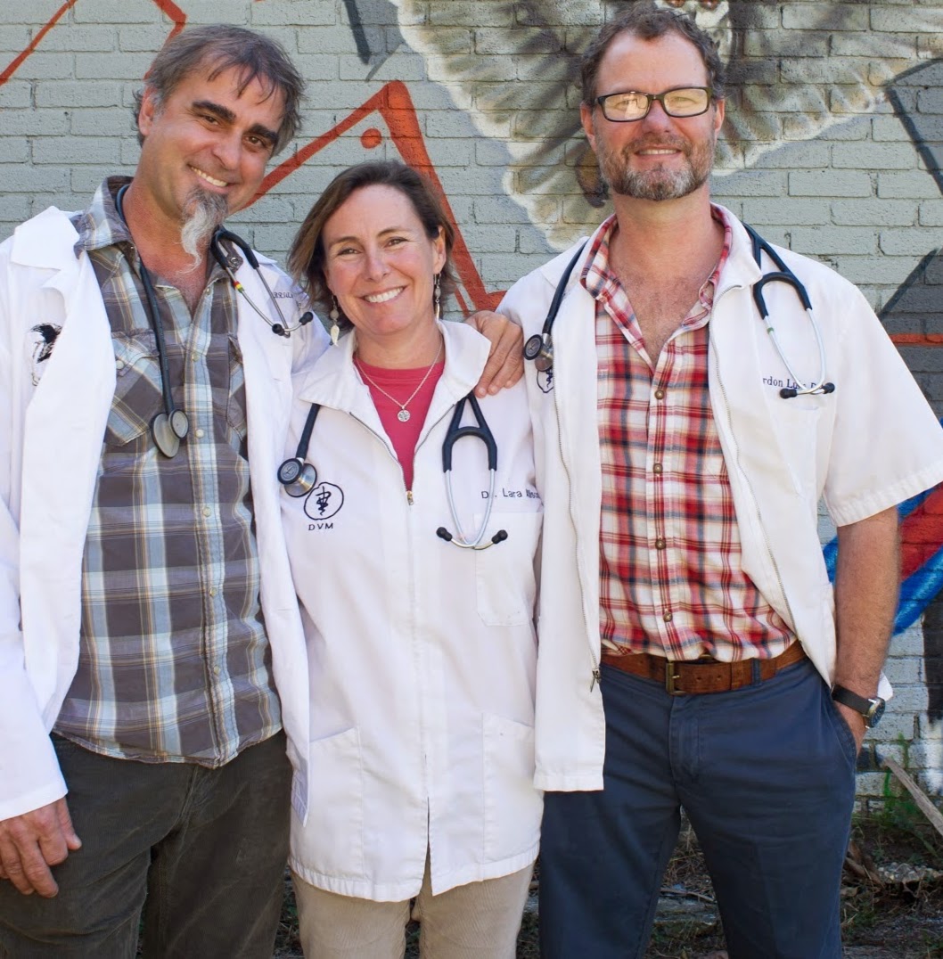 Pet Vet Animal Hospital - Mt Pleasant , United States