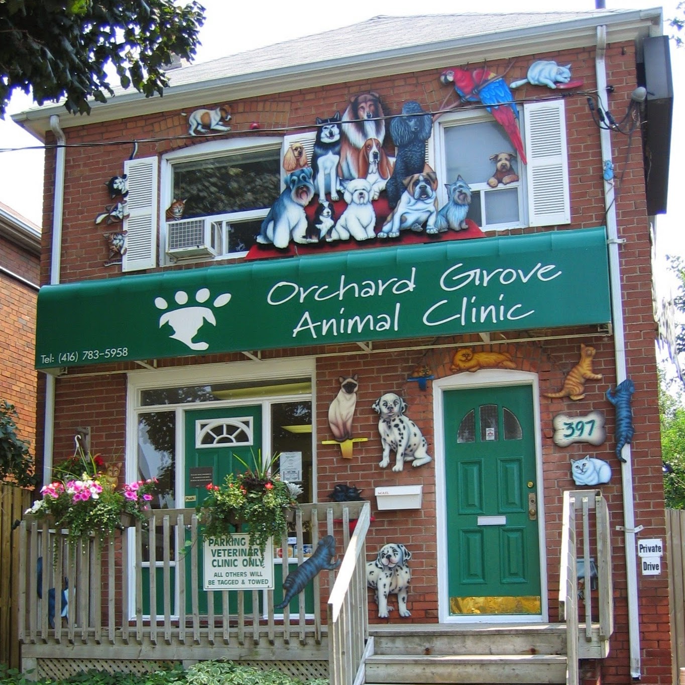 Orchard Grove Animal Clinic - Toronto , Canada