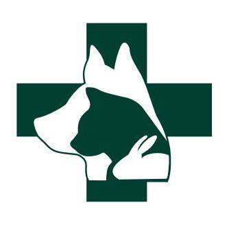 Spring Animal Hospital - Long Beach , United States
