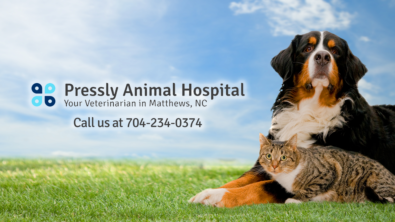 Pressly Animal Hospital - Matthews , United States