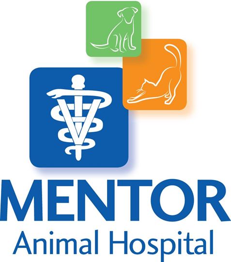 Mentor Veterinary Clinic - Mentor , United States
