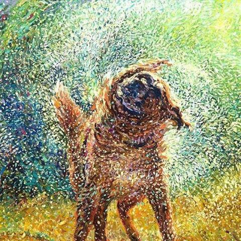 Hearthstone Veterinary Hospital - Saratoga Springs , United States