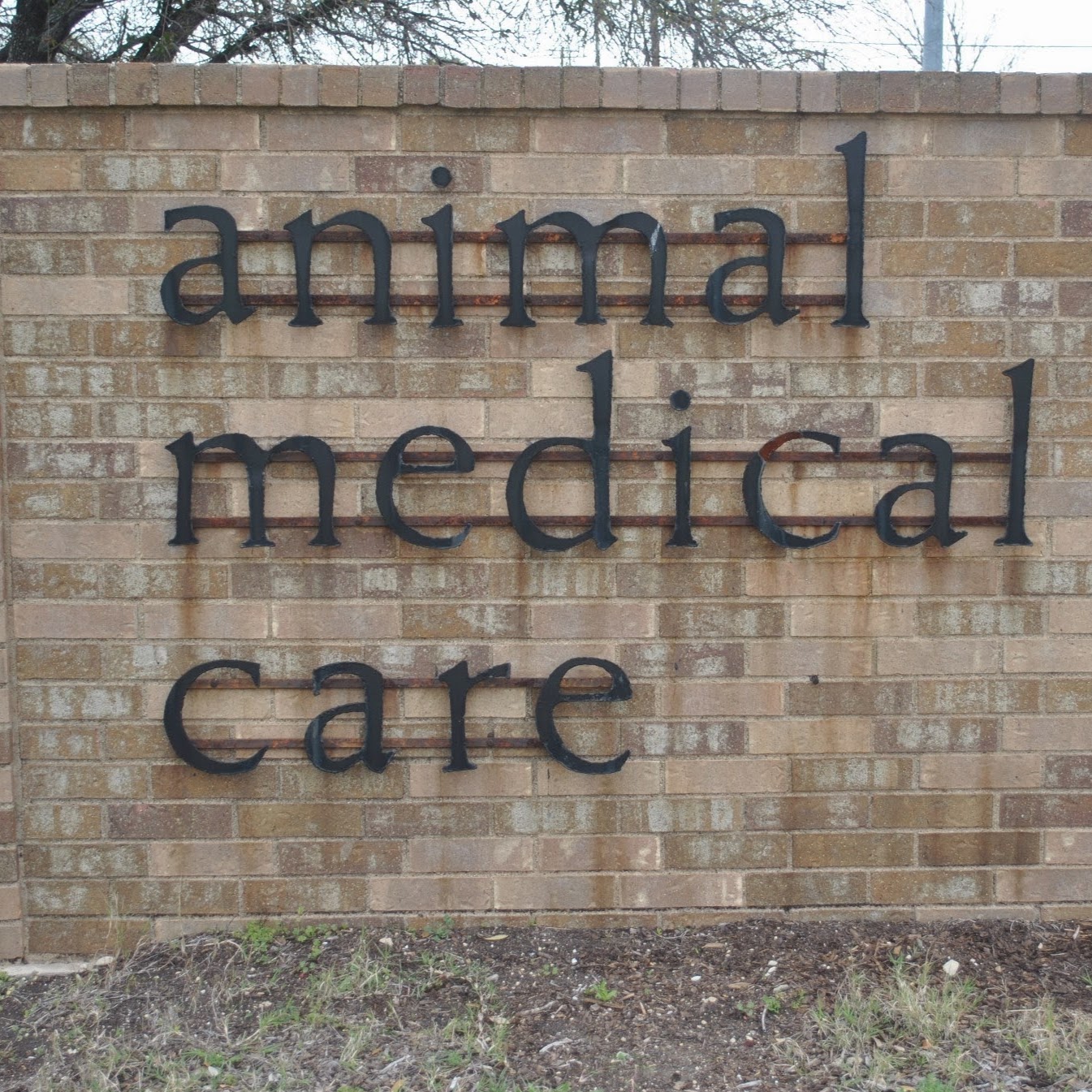 Animal Medical Care - Temple , United States