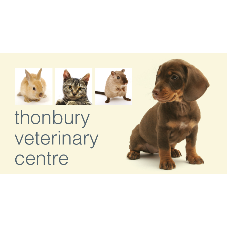 Medivet Horley - Horley , United Kingdom