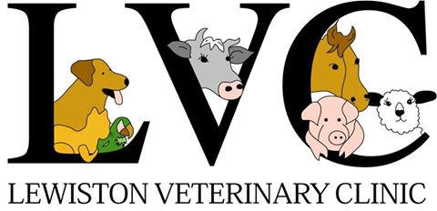 Lewiston Veterinary Clinic - Lewiston , United States