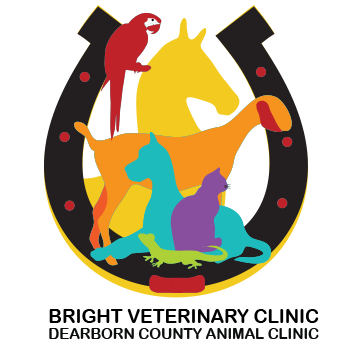 Bright Veterinary Clinic - Lawrenceburg , United States