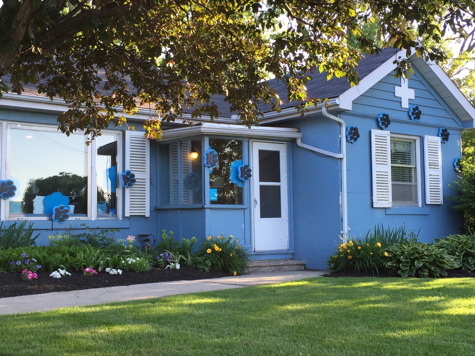 Pioneer Pet Hospital - Kitchener , Canada