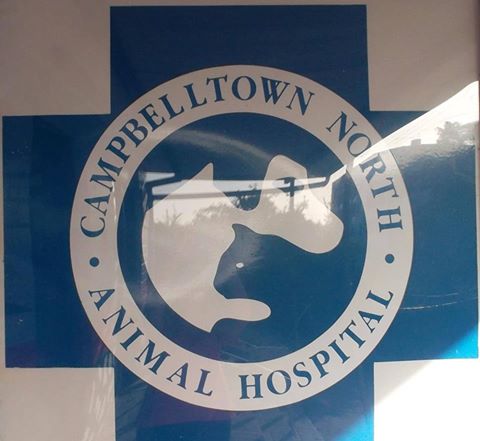 Campbelltown North Animal Hospital Dr Spot - Campbelltown , Australia