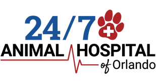 24/7 Animal Hospital of Orlando - Orlando , United States