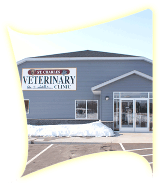 St. Charles Veterinary Clinic - St. Charles , United States