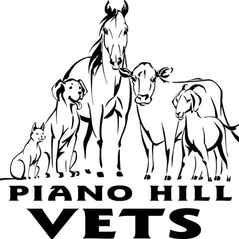 Piano Hill Vets - Kamo , New Zealand