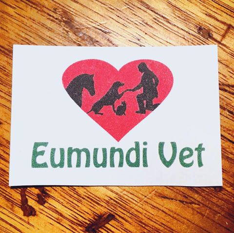Eumundi Vets - Eumundi , Australia