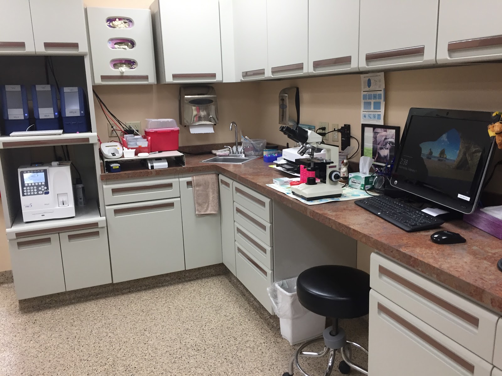St Francis Veterinary Hospital - Sylvania , United States