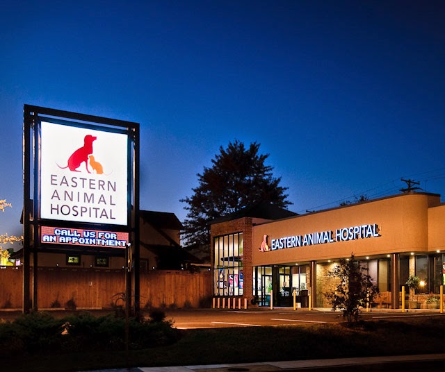 Eastern Animal Hospital - Baltimore , United States
