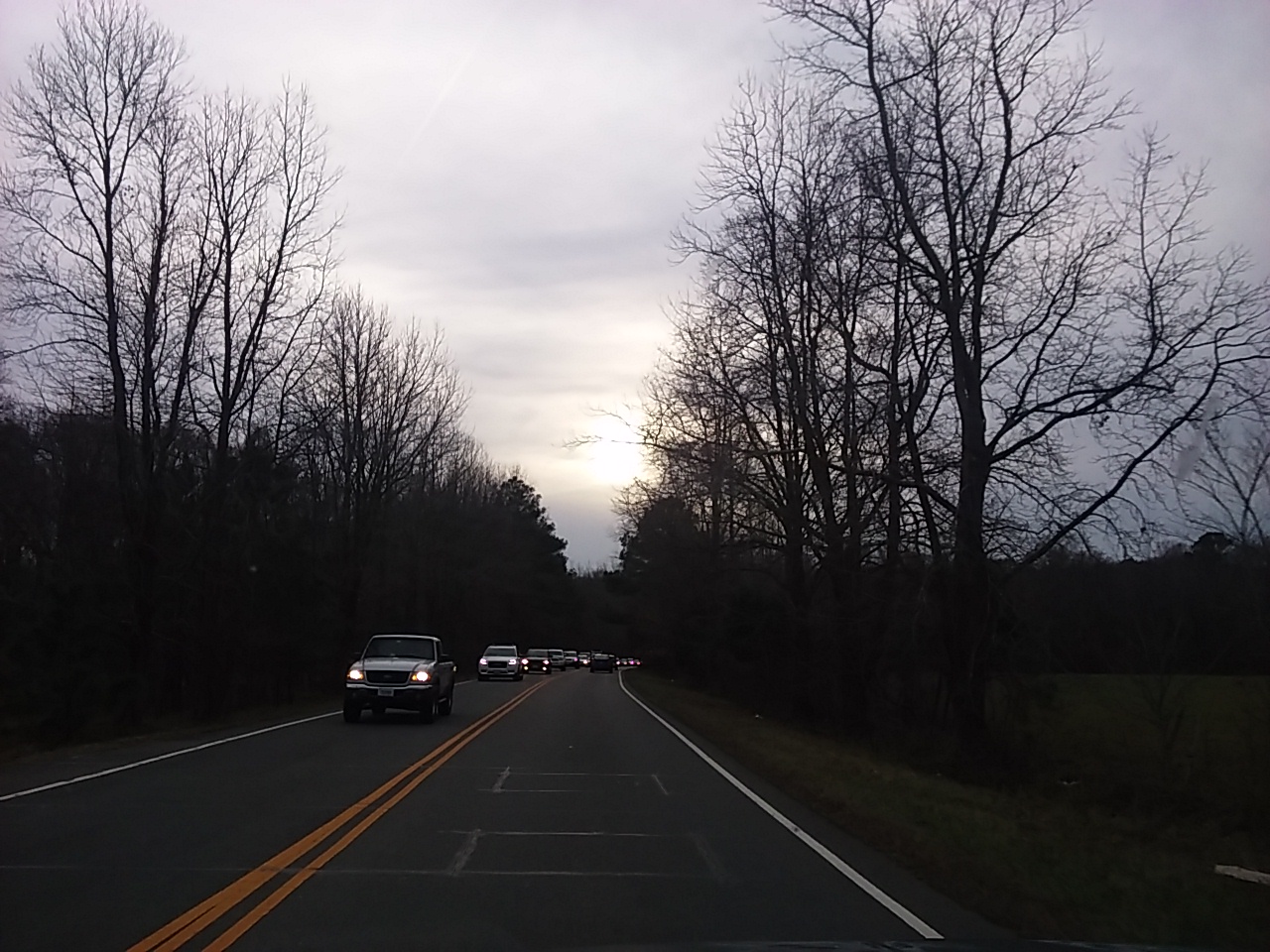 Homeward Bound Mobile Vet - Raleigh , United States