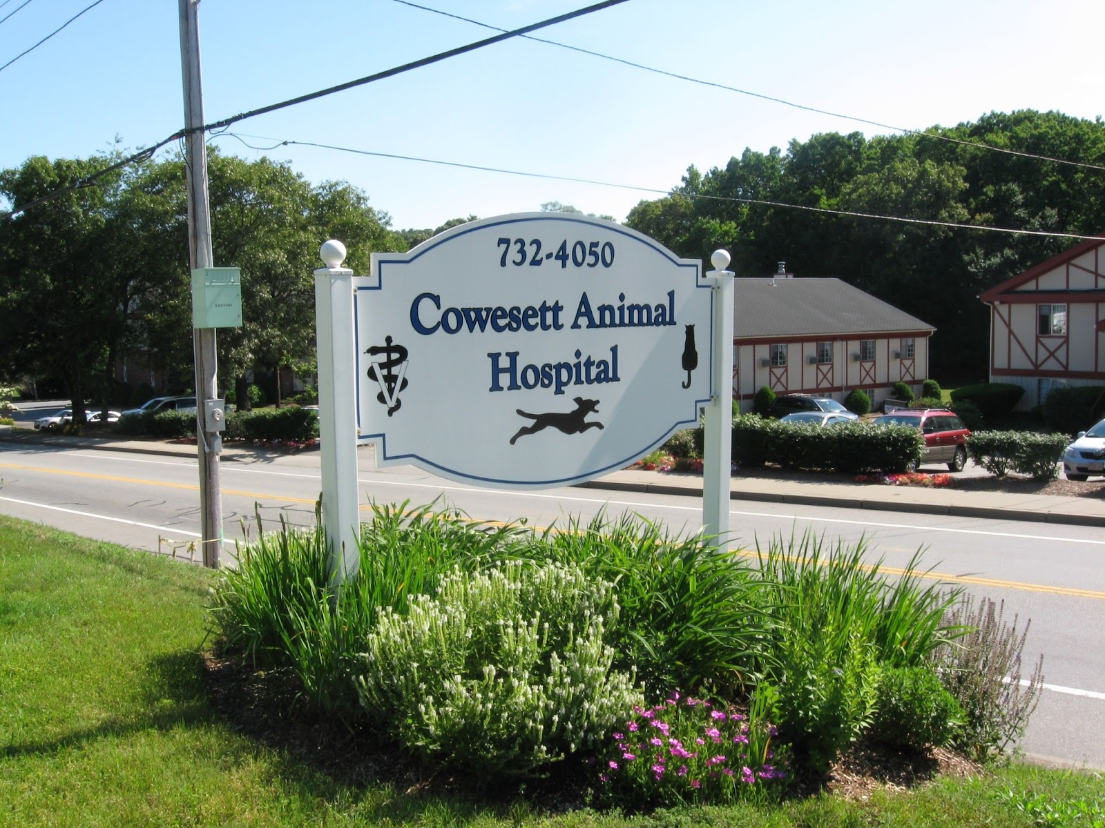 Cowesett Animal Hospital - Warwick , United States