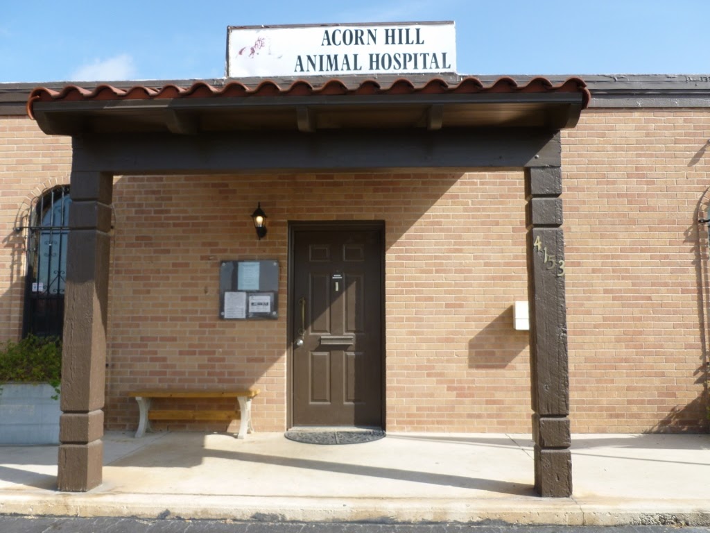 Acorn Hill Animal Hospital - San Antonio , United States