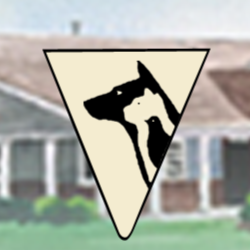 Steele Creek Animal Hospital - Charlotte , United States
