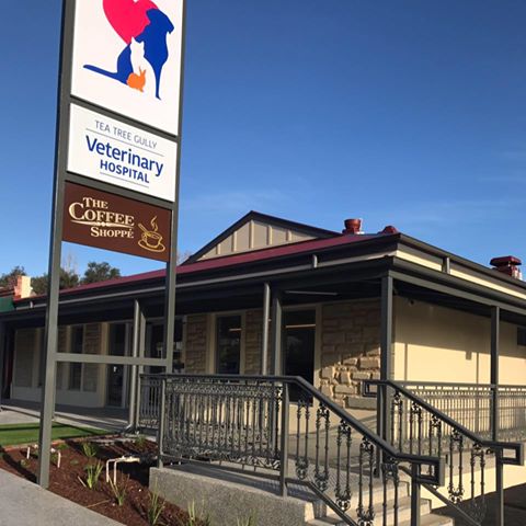 Tea Tree Gully Veterinary Hospital - Tea Tree Gully , Australia