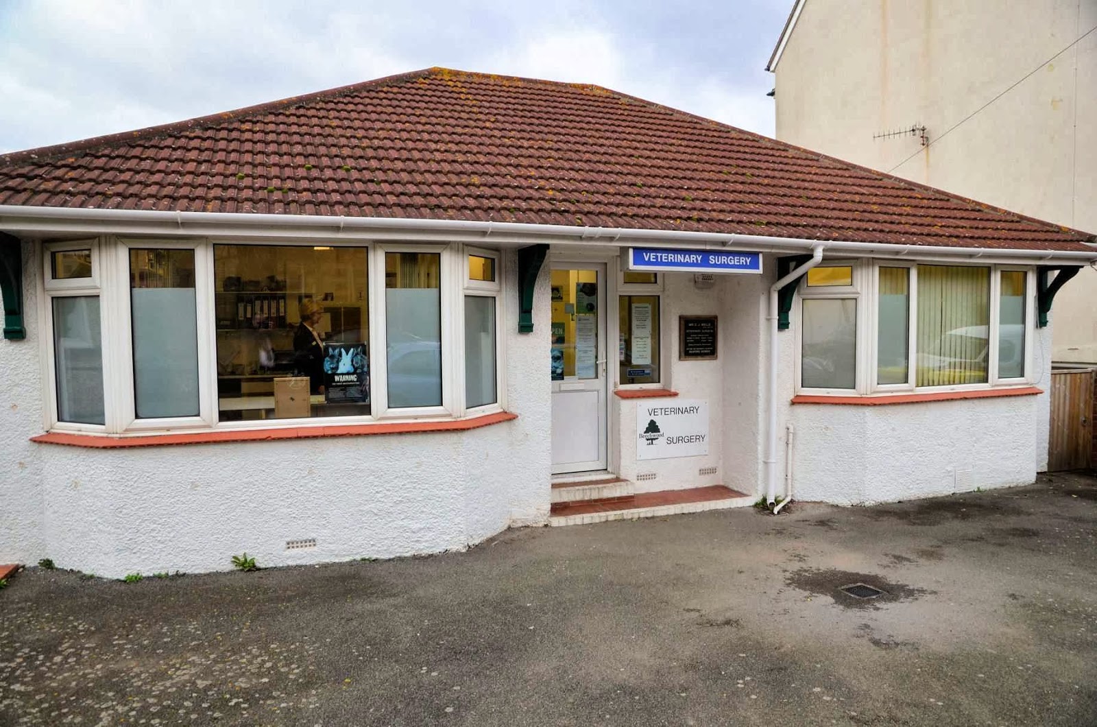 Beechwood Veterinary Surgery Seaford - Seaford , United Kingdom