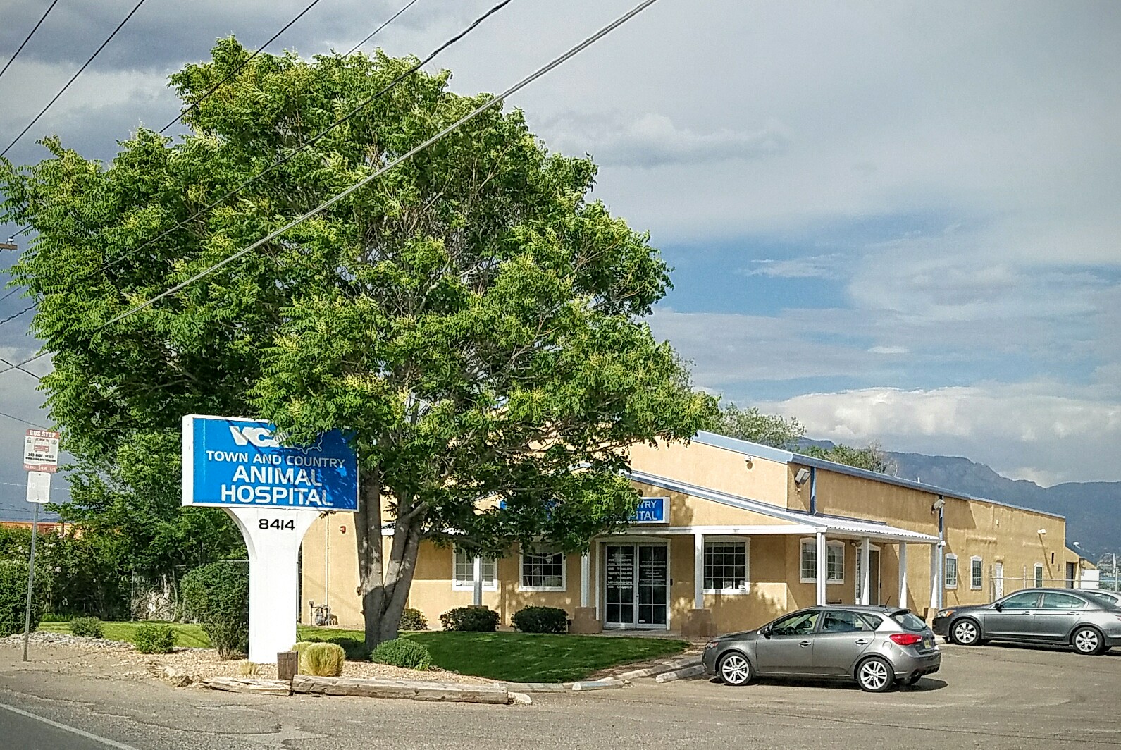 Vca Town And Country Animal Hospital - Albuquerque , United States