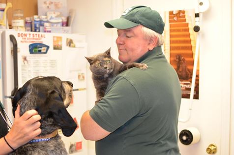 Animal Health Care Of North Branch - North Branch , United States
