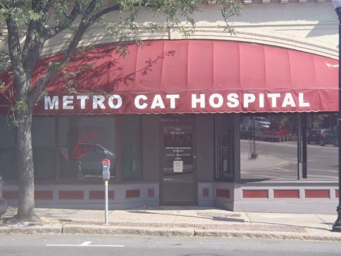 Vca Metro Cat Hospital - Brookline , United States