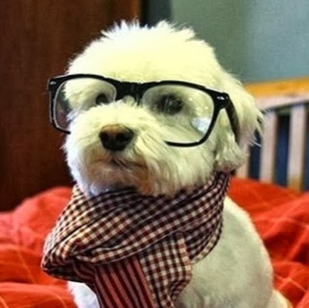 Marietta Animal Hospital - Jacksonville , United States