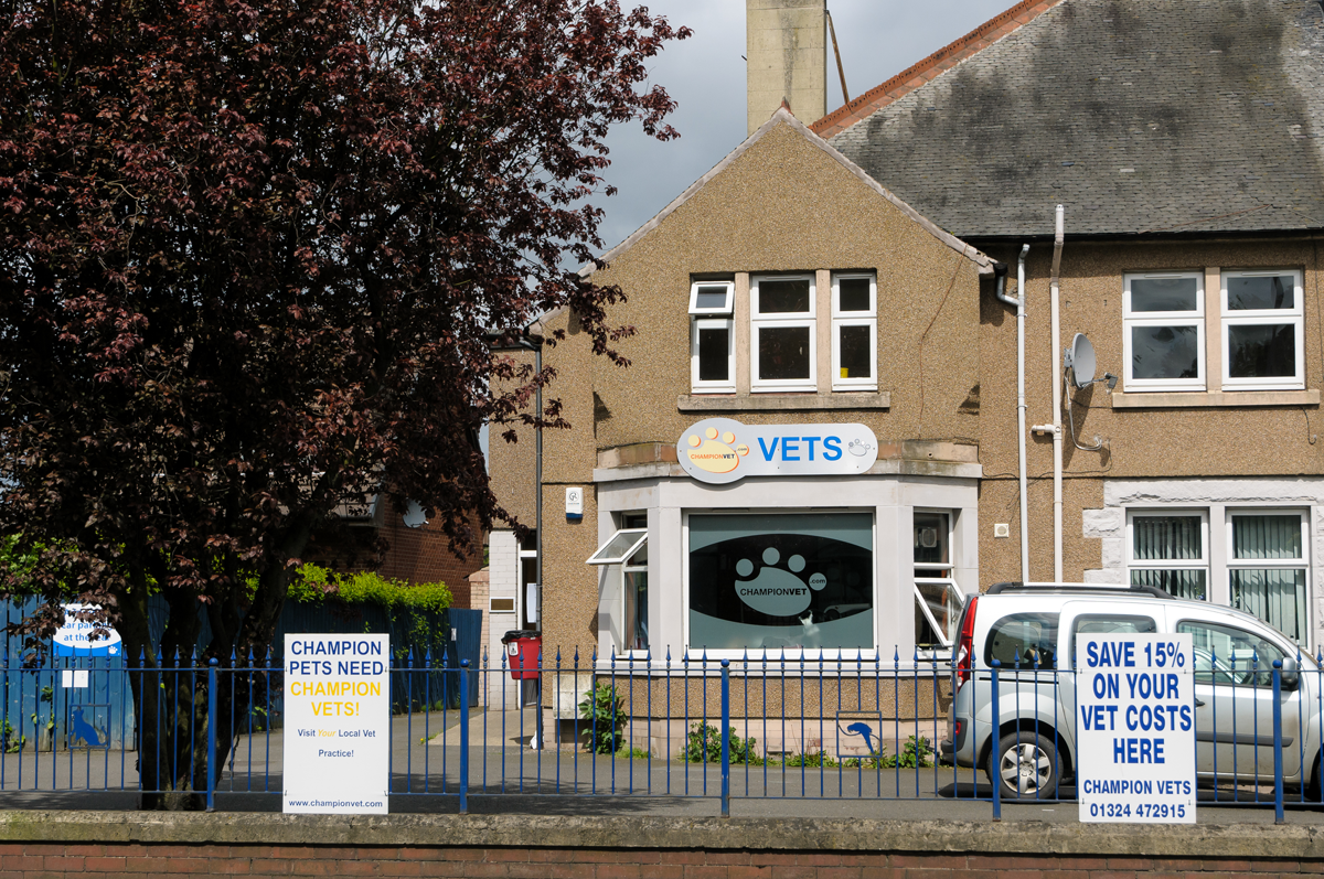 Grangemouth Veterinary Clinic - Grangemouth , United Kingdom