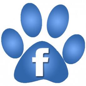 Border Animal Hospital - Raymondville , United States