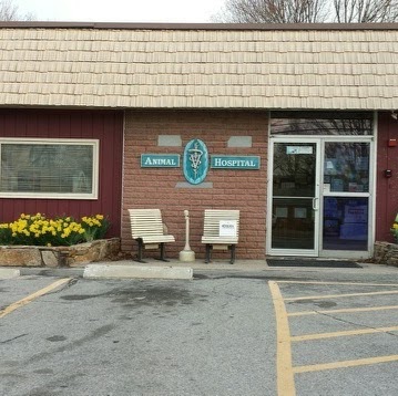 Northern Rhode Island Animal Hospital A Thrive Pet Healthcare Partner - Forestdale , United States