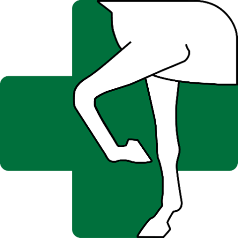 Rood And Riddle Equine Hospital In Saratoga - Saratoga Springs , United States